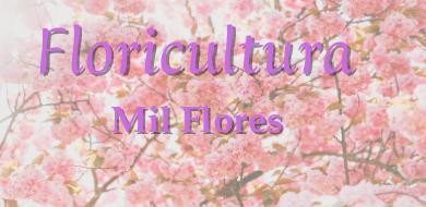 FLORICULTURA MIL FLORES