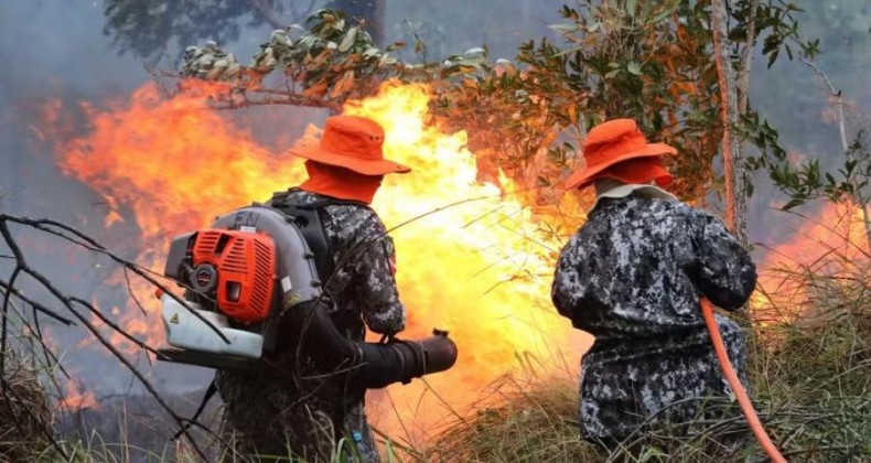 O que é a turfa do Pantanal e por que ela torna o combate ao fogo ainda mais difícil