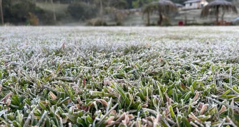 Onda de frio continua e Paraná registra temperatura negativa pelo 3º dia consecutivo; veja